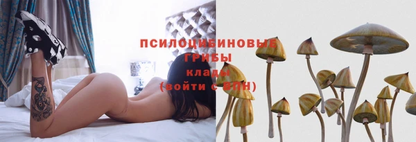 ешки Алексеевка