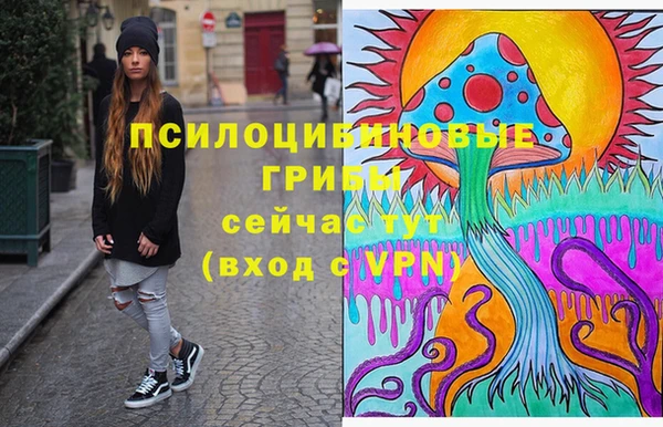 мяу мяу мука Алексин