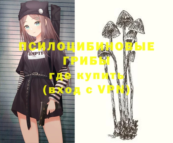 ешки Алексеевка