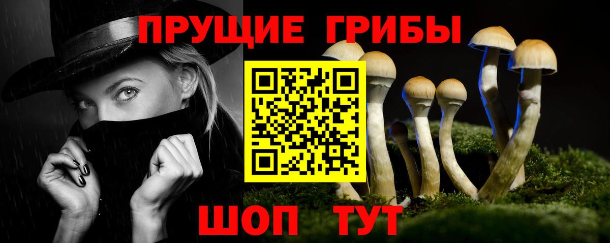 Миасс  Псилоцибиновые грибы Cubensis  Вход с VPN 